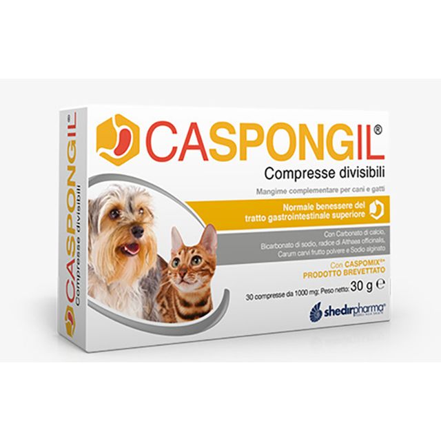 caspongil-30-compresse-divisibili