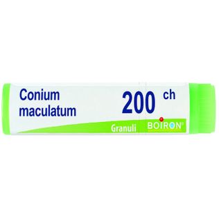 CONIUM MACULATUM 200 CH GLOBULI 1G