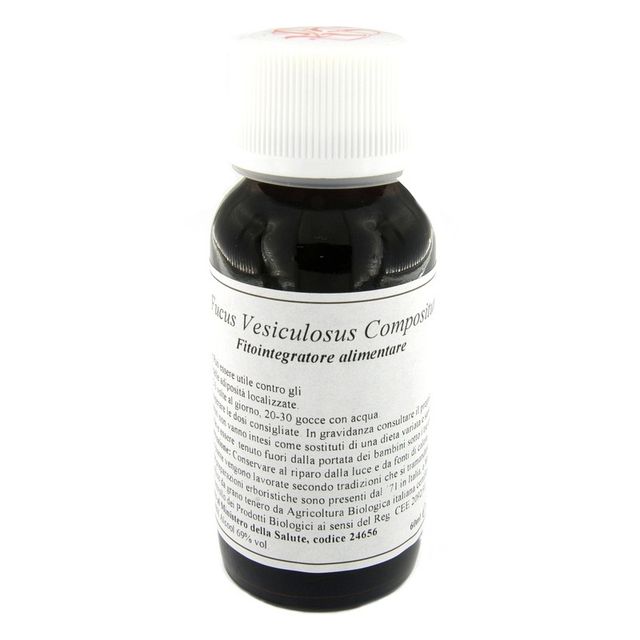 lvs-42s-fucus-vesiculosus-compositum