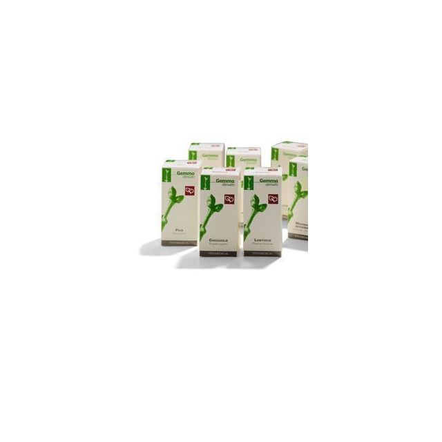 magnolia-officinale-macerato-glicerico-100-ml