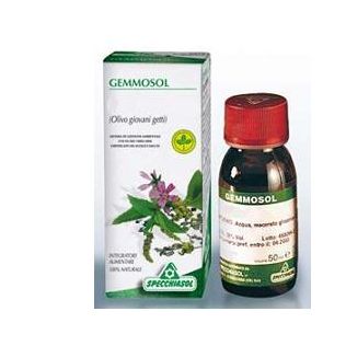 GEMMOSOL 28 OLIVO 50ML