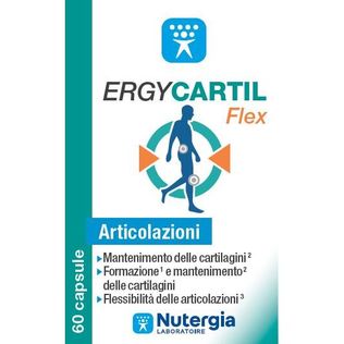 ERGYCARTIL FLEX 90 CAPSULE