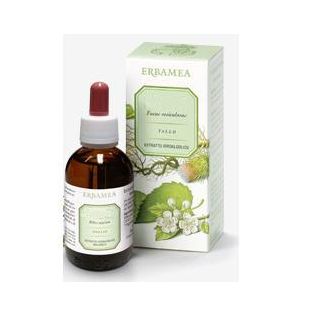 SALVIA SOMMITA' FIORITE ESTRATTO IDROALCOLICO 50 ML