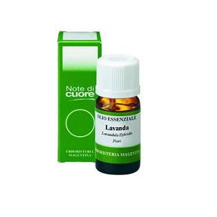 LAVANDA IBRIDA OLIO ESSENZIALE 10 ML