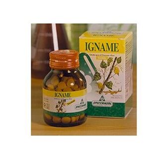 IGNAME ERBE 60TAV