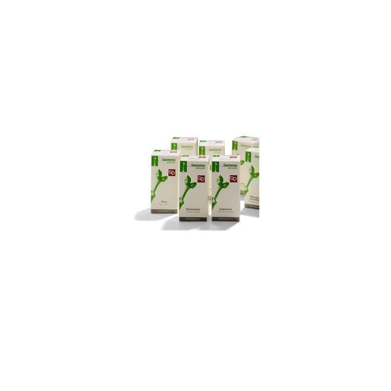 magnolia officinale macerato glicerico 100 ml