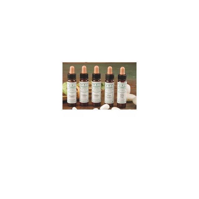 ainsworths-crab-apple-10ml