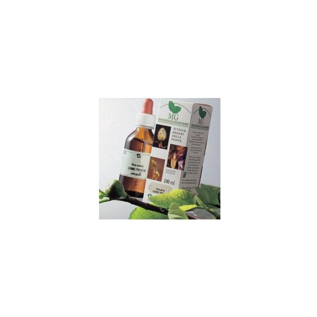 betulla-macerato-glicerico-100-ml