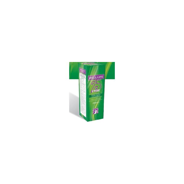 well life 25erbe abros 250 ml