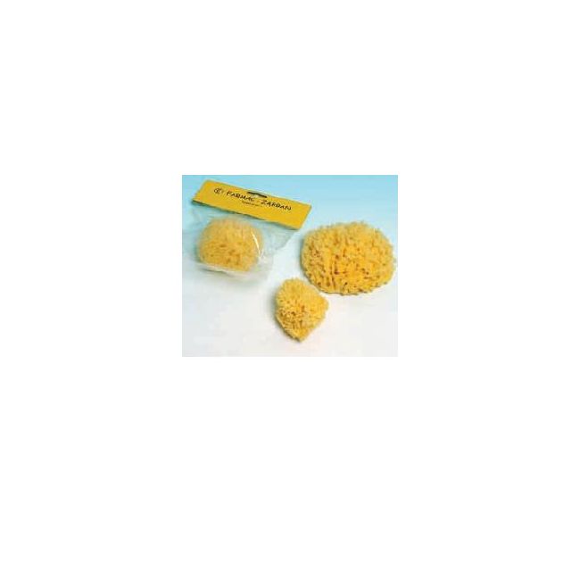 spugna-nat-mare-3-grande