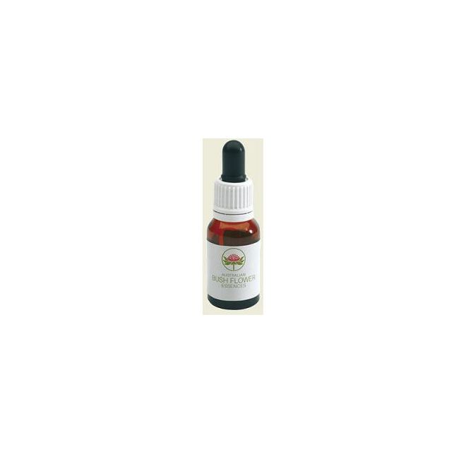 old-man-banksia-australian-gocce-15-ml